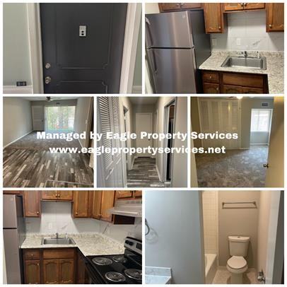 1810 Bridgewater Place - B91806, 1810, 1814 Bldgs #B9 - Photo 4 of 8