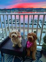 featured image of 403 Gillette St