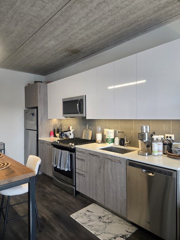 1743 N Leavitt St #307 - Photo 3 of 16