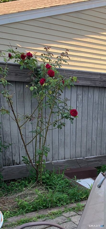 630 Longfellow Dr - Photo 6 of 13