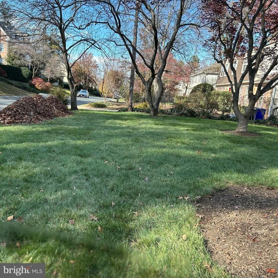 7507 Elmore Ln - Photo 4 of 50