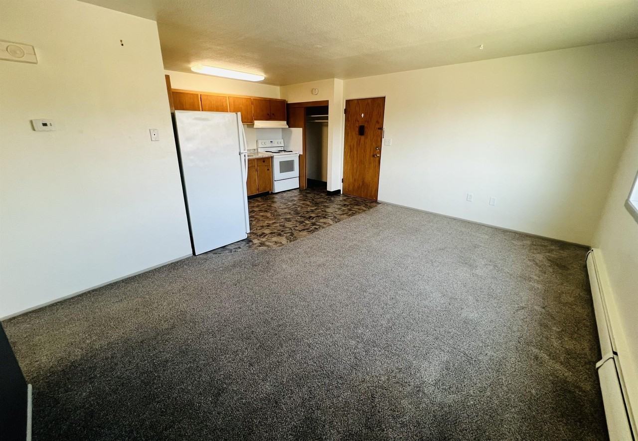315 S Marshall St - 12 PLEX - Photo 2 of 8