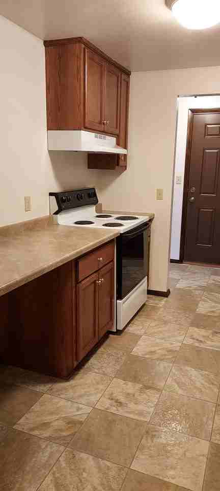 South Norwood - Photo 4 of 11