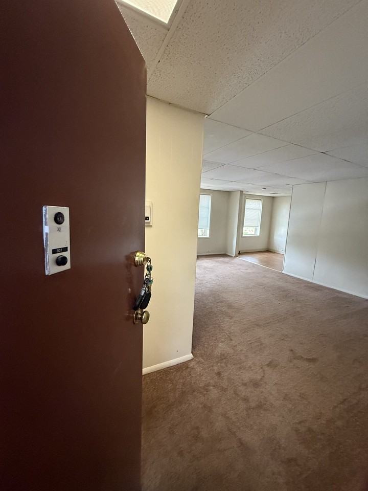 1108 East Genesee Street - Photo 4 of 50