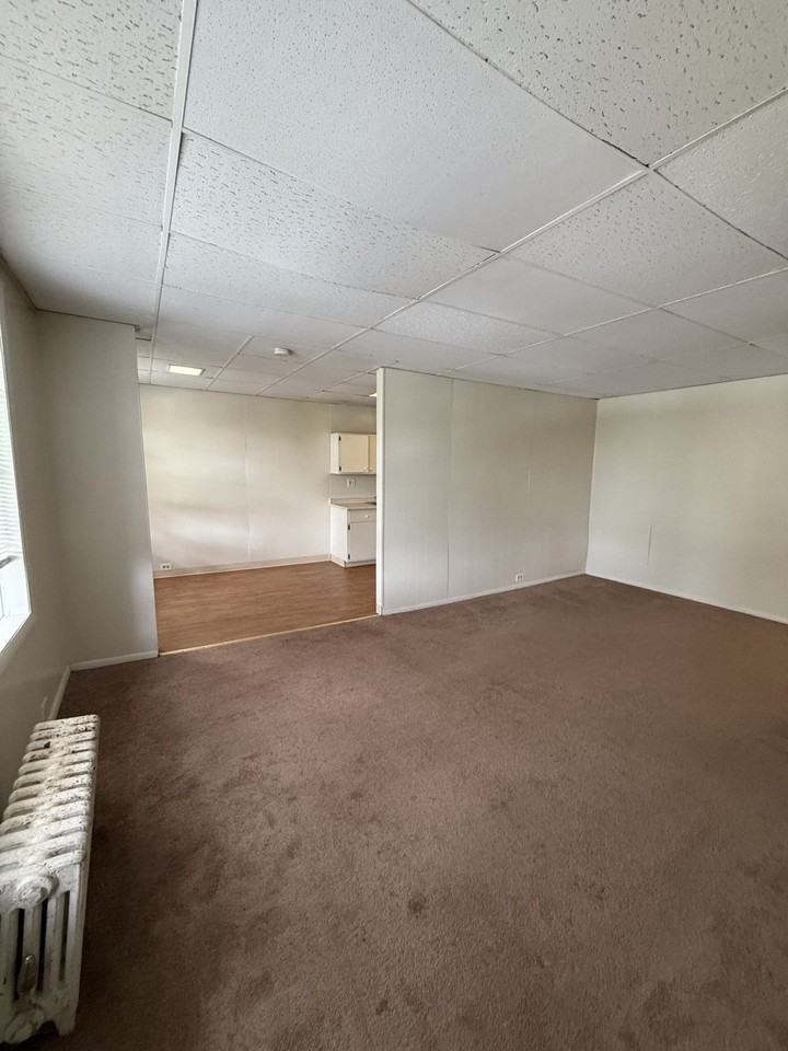 1108 East Genesee Street - Photo 6 of 50