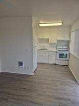 MAPLE - Photo 1 of 1