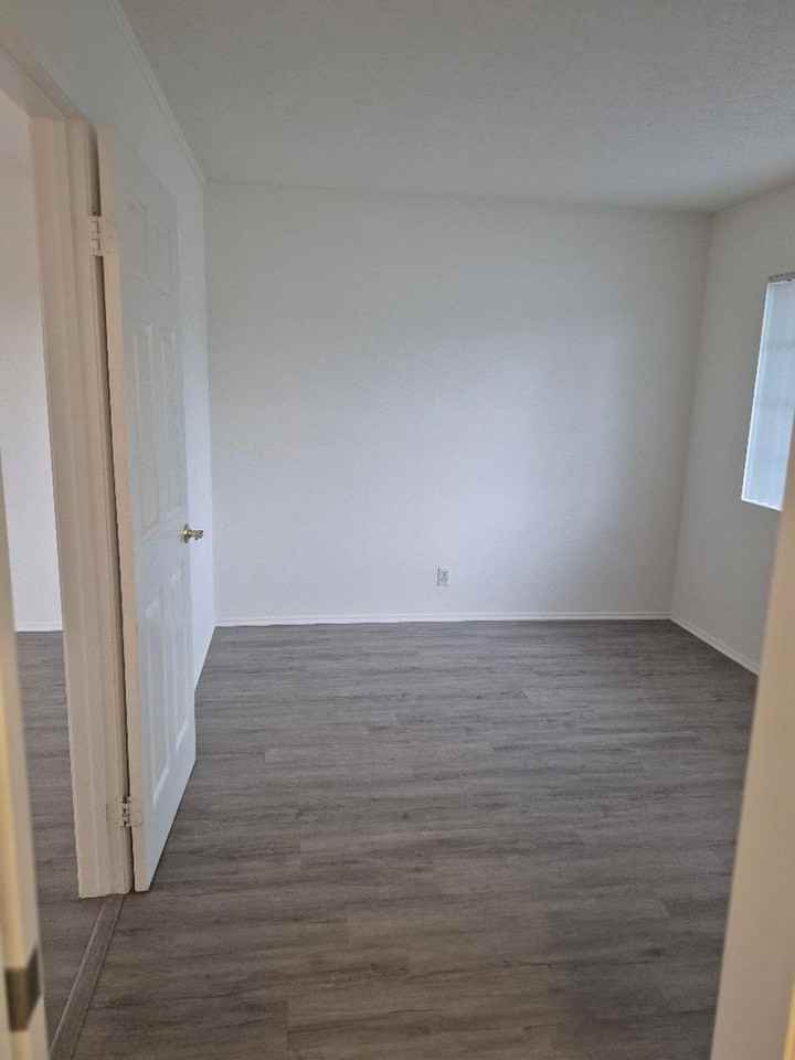 MAPLE - Photo 3 of 8