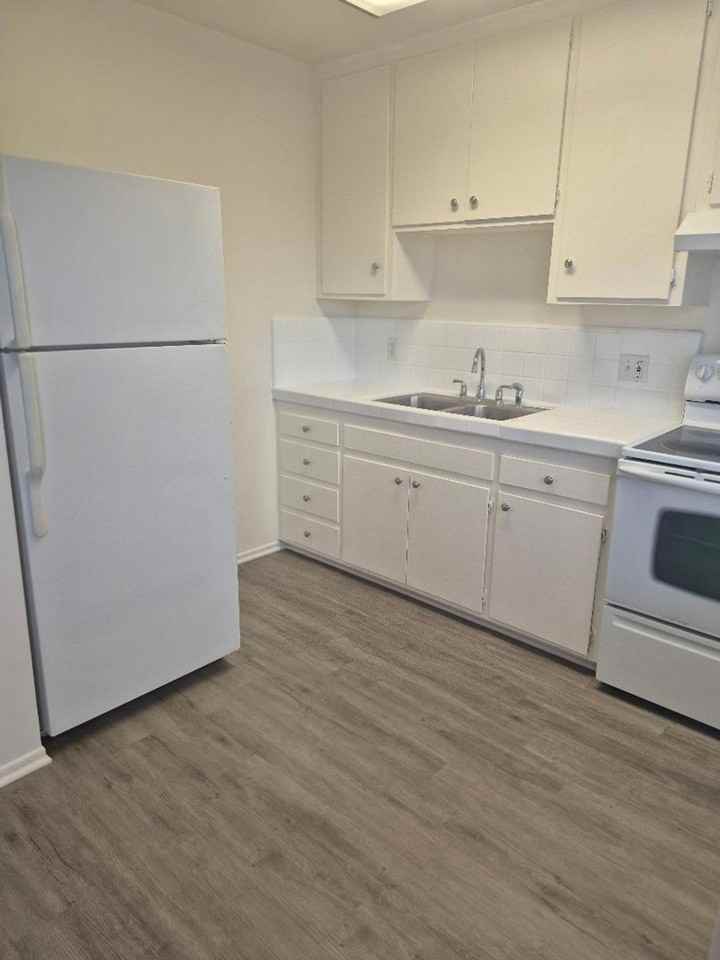 MAPLE - Photo 4 of 8