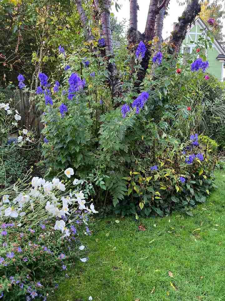 3718 Se Morrison St - Photo 4 of 7