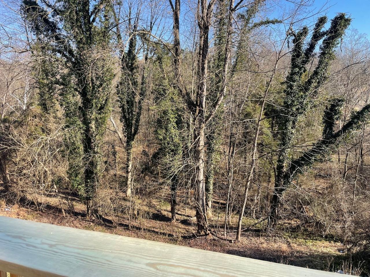 428 Light St - Photo 5 of 27