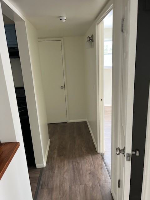 2934 Grasselli Ave #2 - Photo 5 of 9