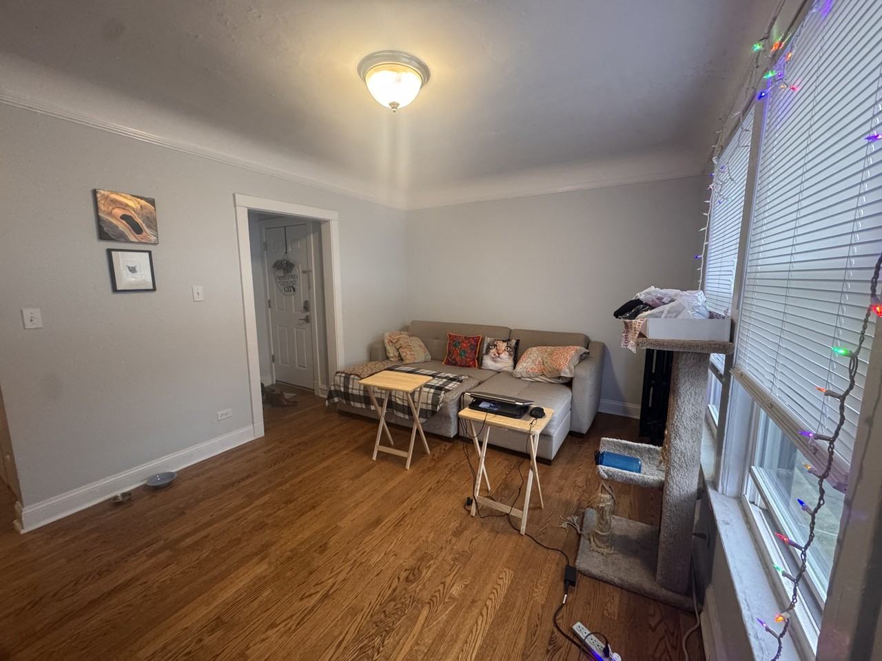 7027 N Glenwood Ave #2N - Photo 2 of 14