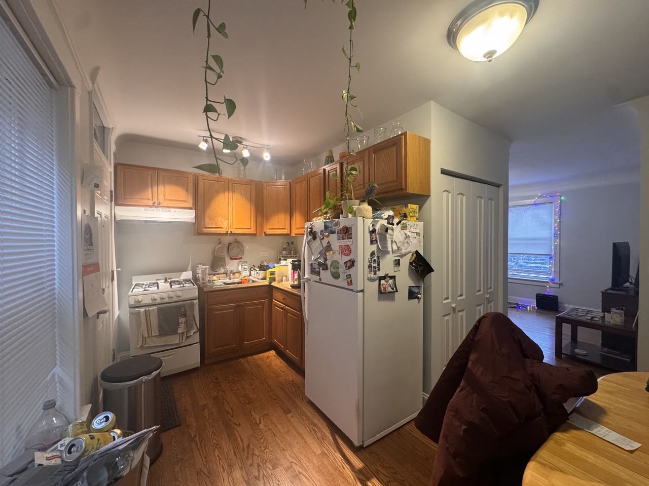 7027 N Glenwood Ave #2N - Photo 6 of 14