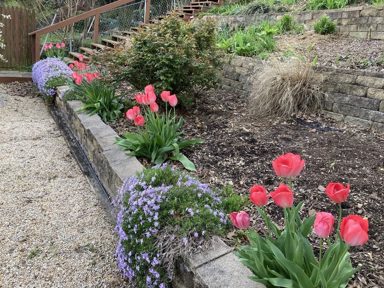 Troy Rd #NA - Photo 6 of 6