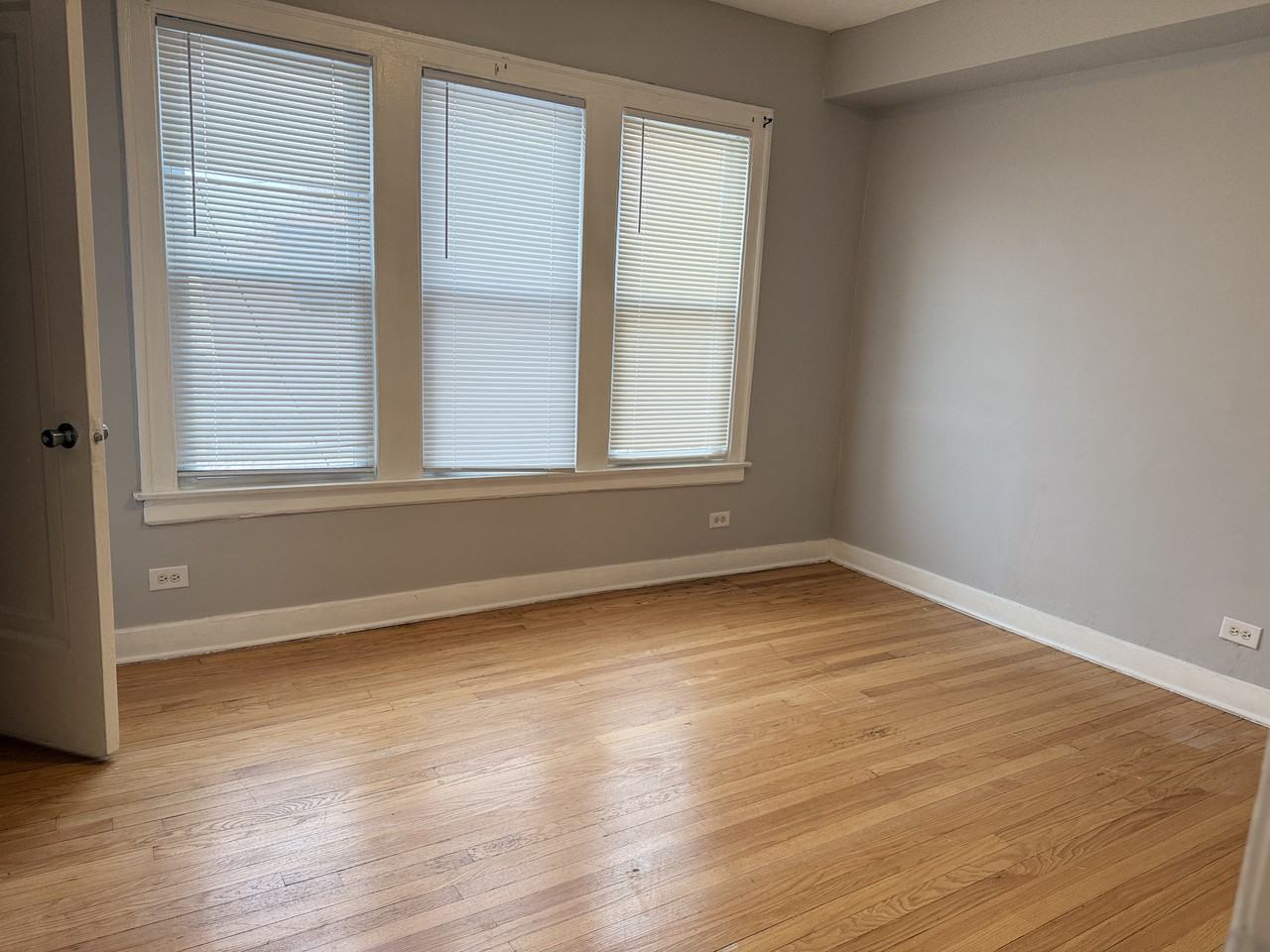 1238 W 90th St #2E - Photo 4 of 8