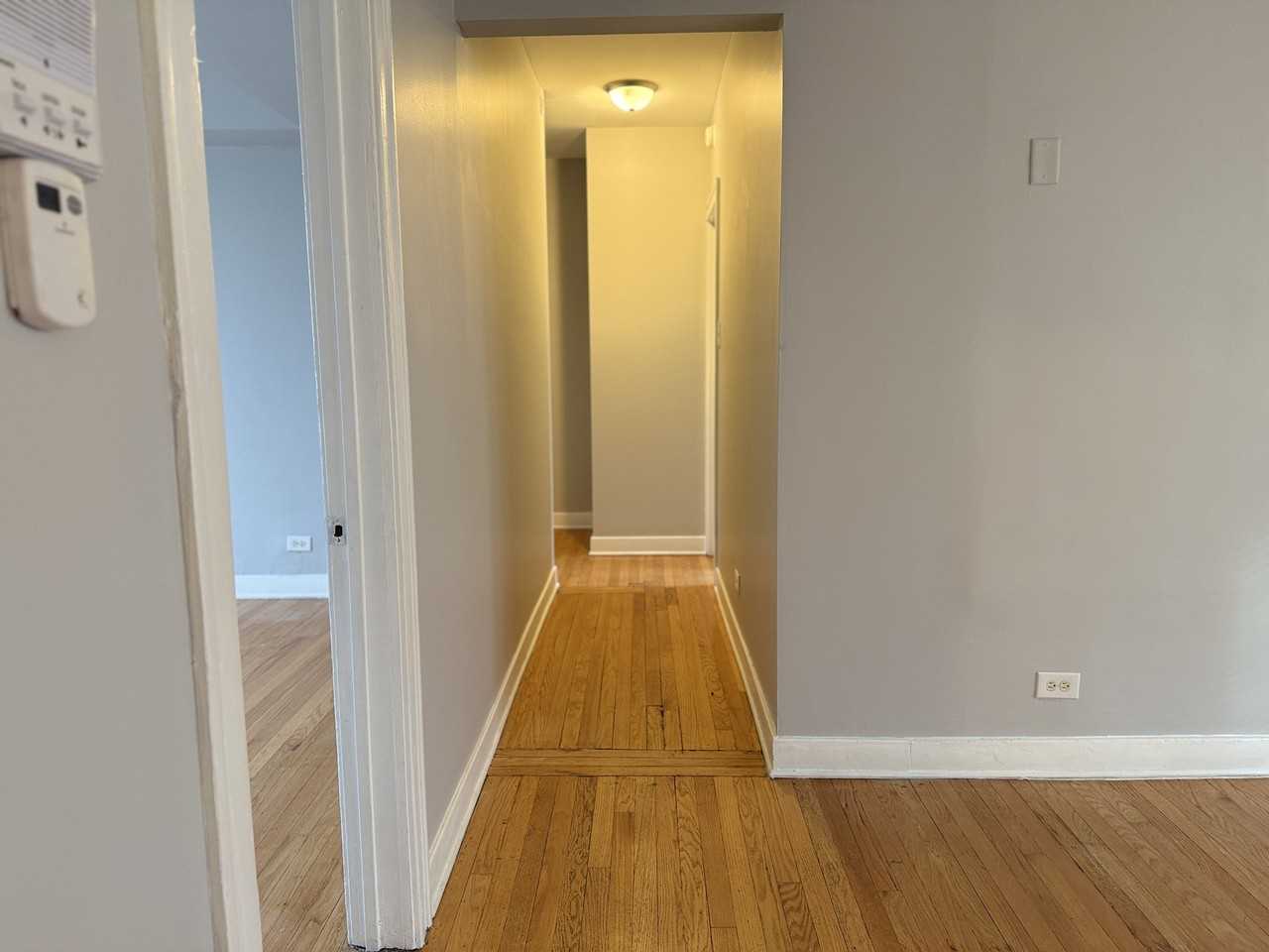 1238 W 90th St #2E - Photo 6 of 8