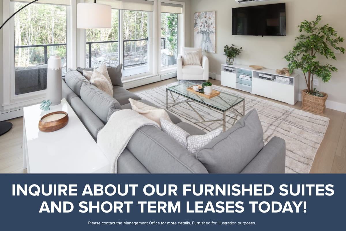 Harbour View Apartments - Photo 6 of 50