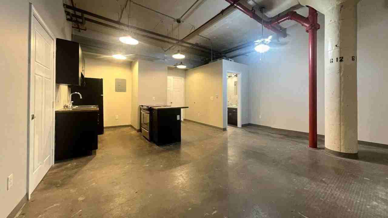 Mitchell Park Plaza Apartment - Photo 7 of 16