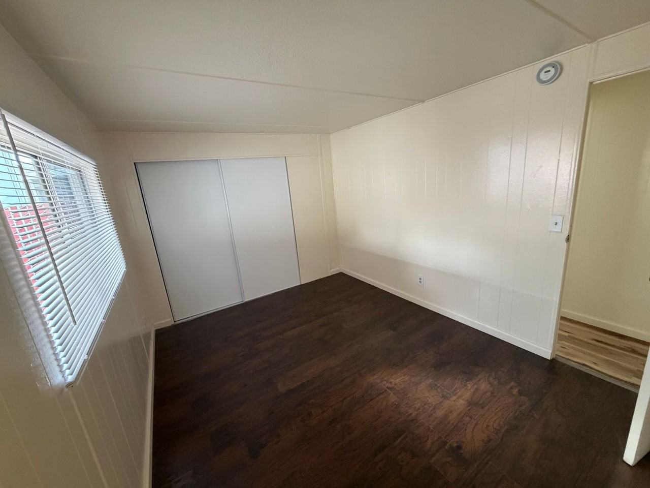 Thunderbird - Photo 4 of 18