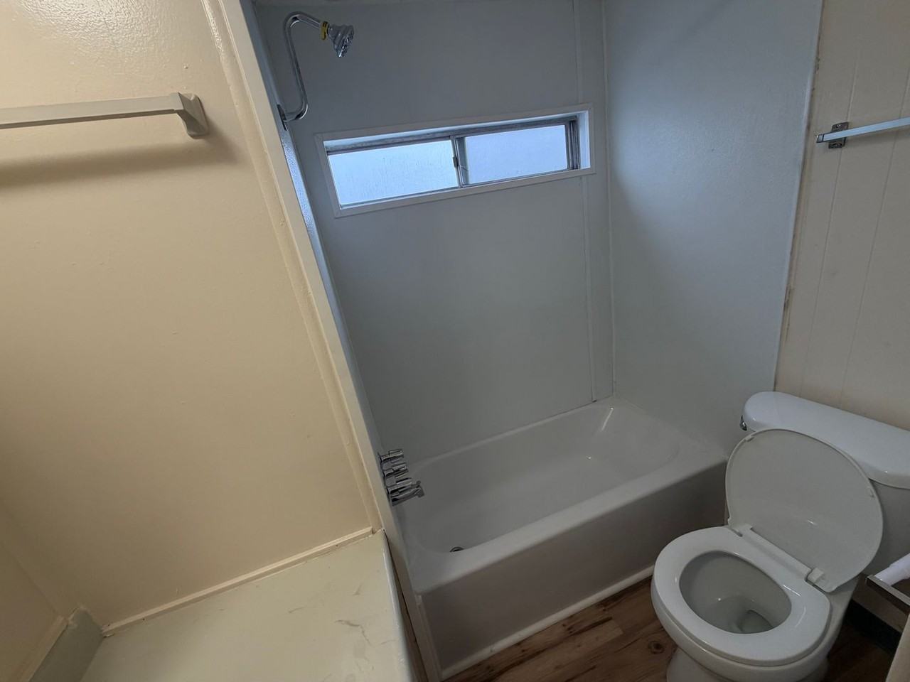 Thunderbird - Photo 7 of 18