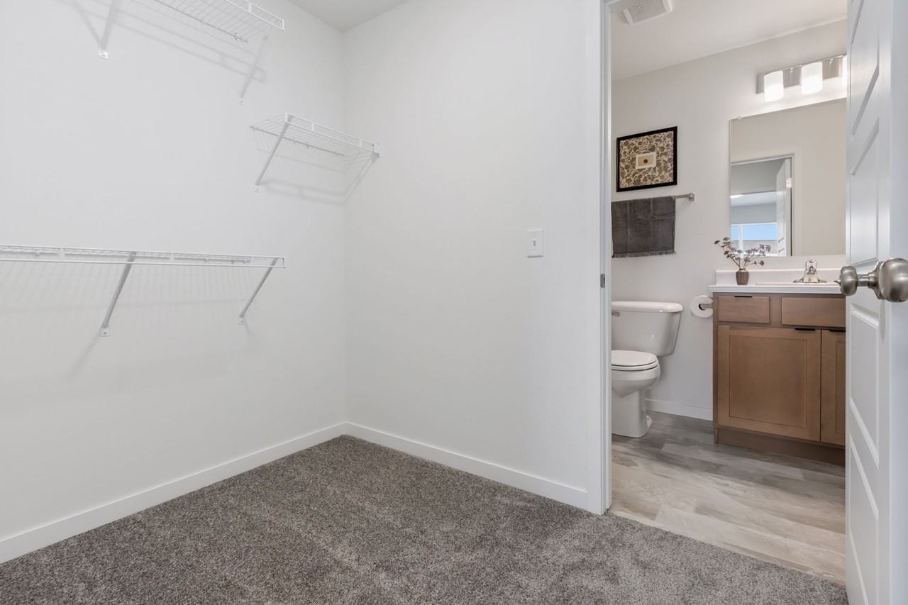 The Nova - Photo 7 of 15