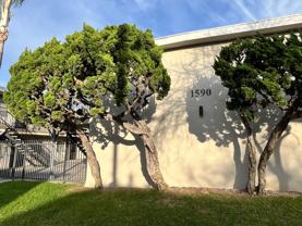 1590 Henderson Ave #5 - Photo 1 of 1