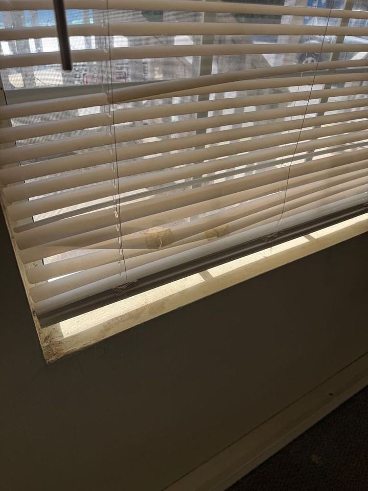 118 Reece Ct #C - Photo 6 of 11