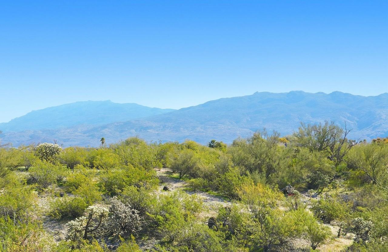 770 N Lazy J Way - Photo 3 of 50