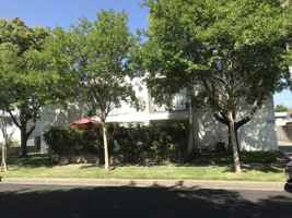 featured image of 512 Elizabeth St