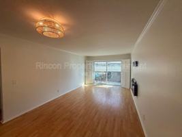 featured image of 236 E Surfside Dr