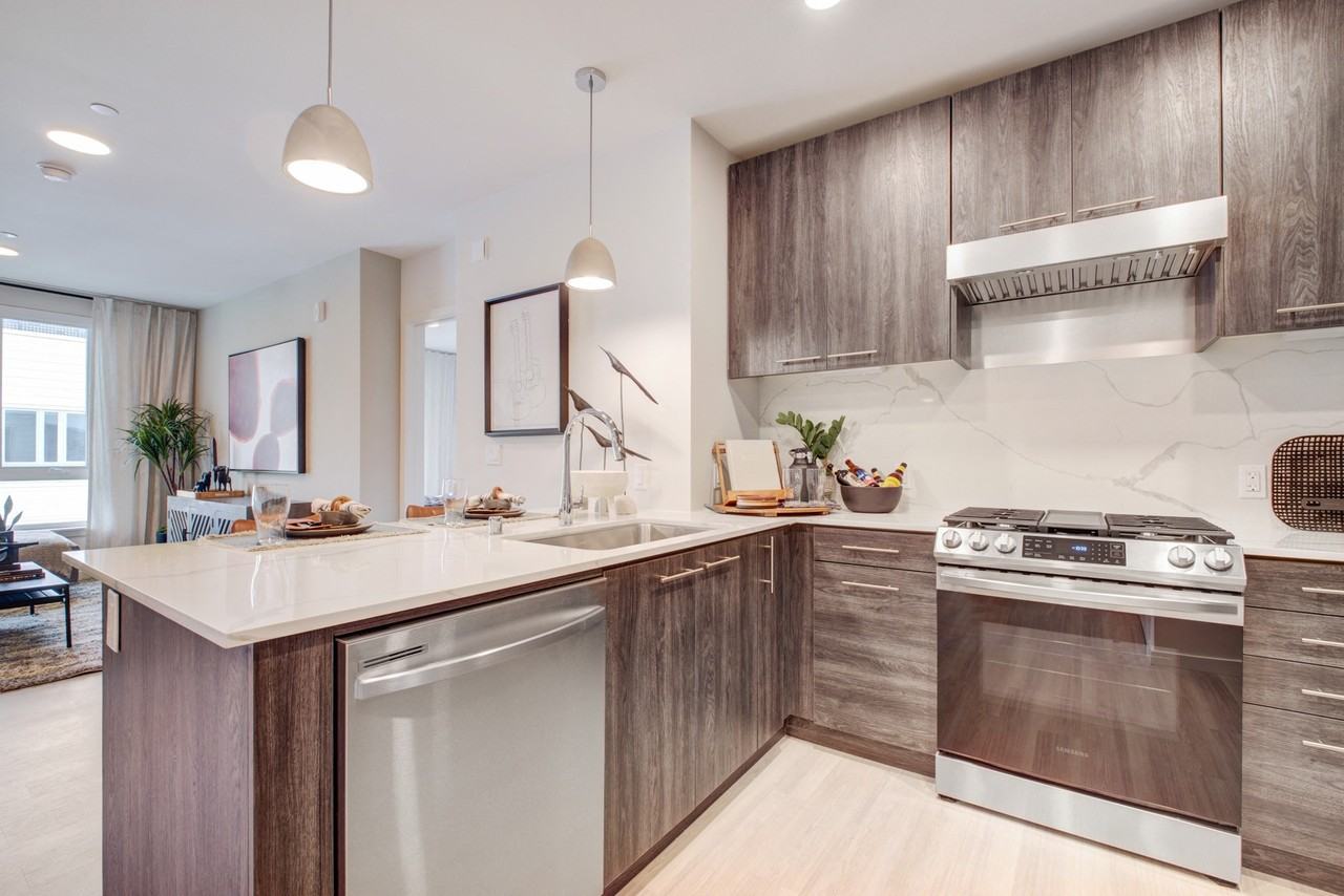 Astella - Photo 7 of 27