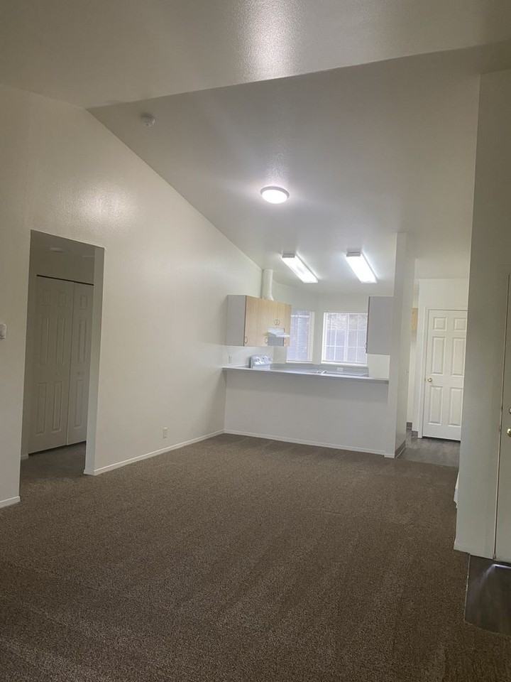 1464 N Raymond St #104 - Photo 5 of 13