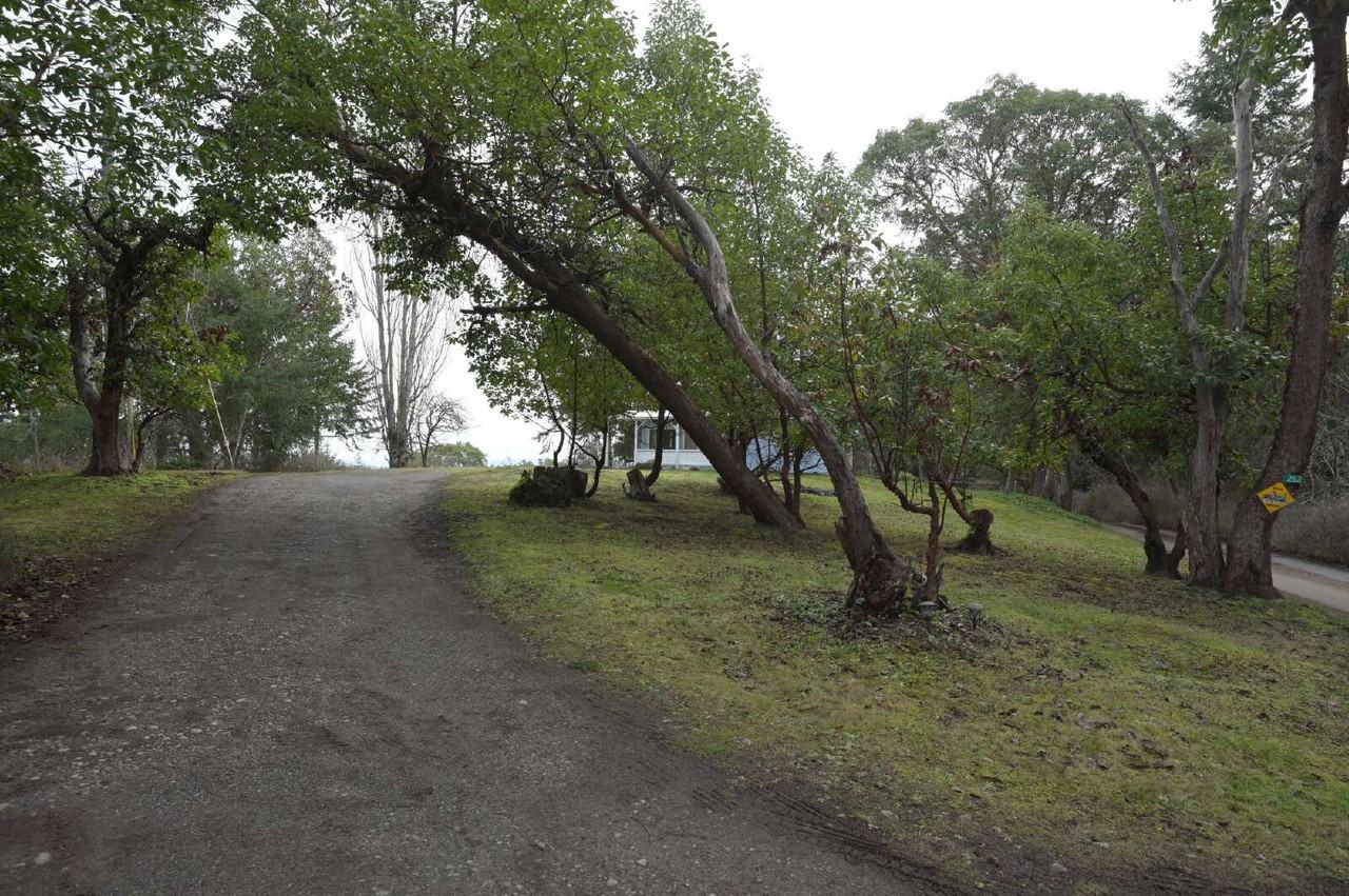 263 Chickadee Ln - Photo 2 of 27