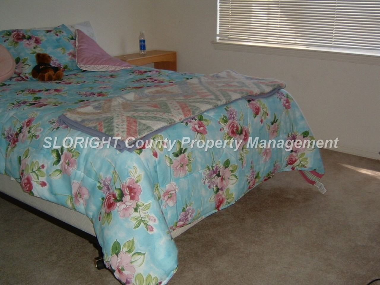 1027 Pauline Way - Photo 7 of 12