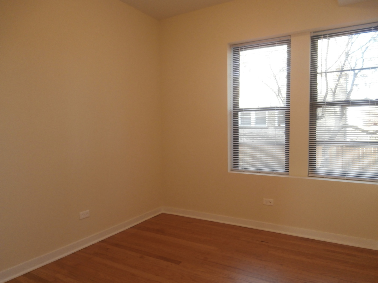 2450 W Albion Ave #1E - Photo 3 of 11