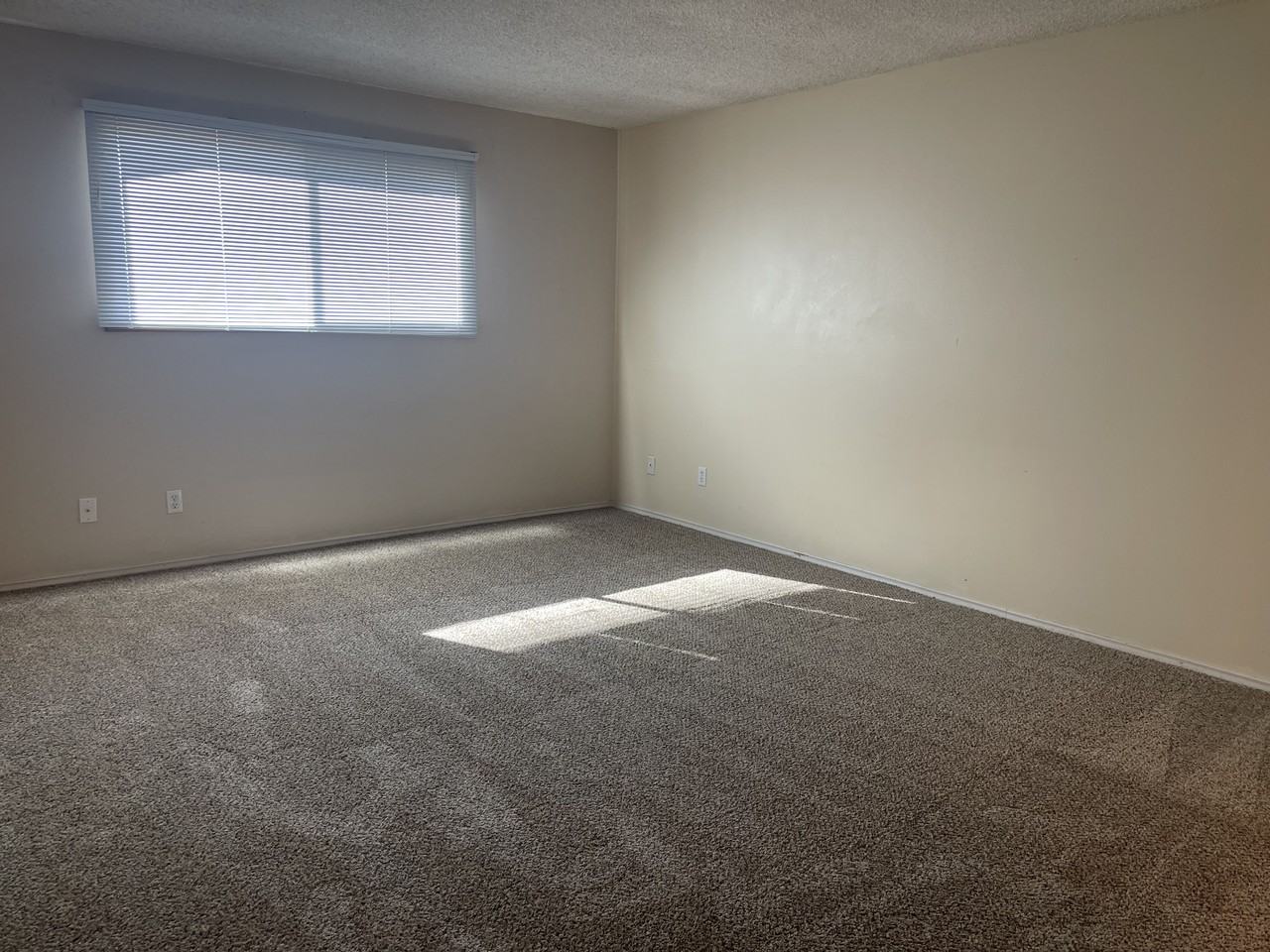 3109 W Augusta Ave #1 - Photo 6 of 10