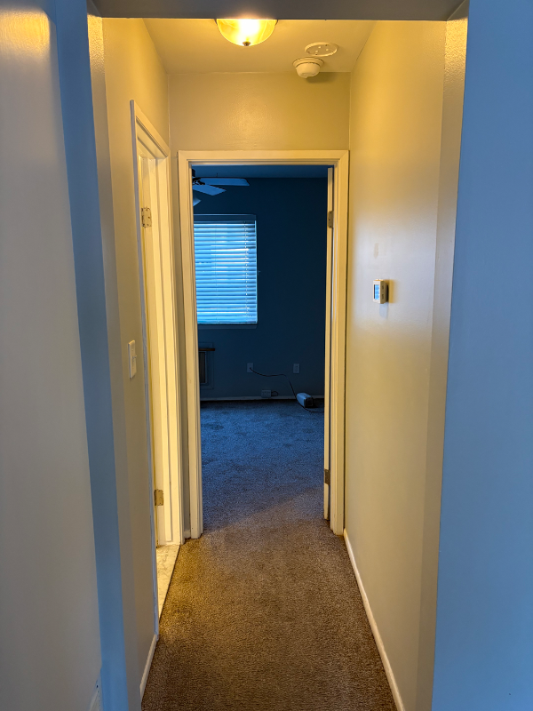 19815 Emil Dr #19817 - Photo 5 of 11