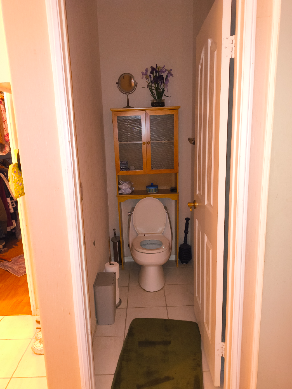 28409 King Apache Cir #MAIN - Photo 7 of 24