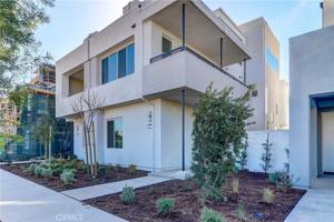 featured image of 130 Spectacle