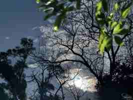 featured image of 6020 Marie Ave