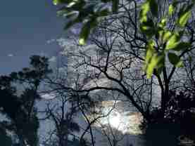 6020 Marie Ave - Photo 1 of 1