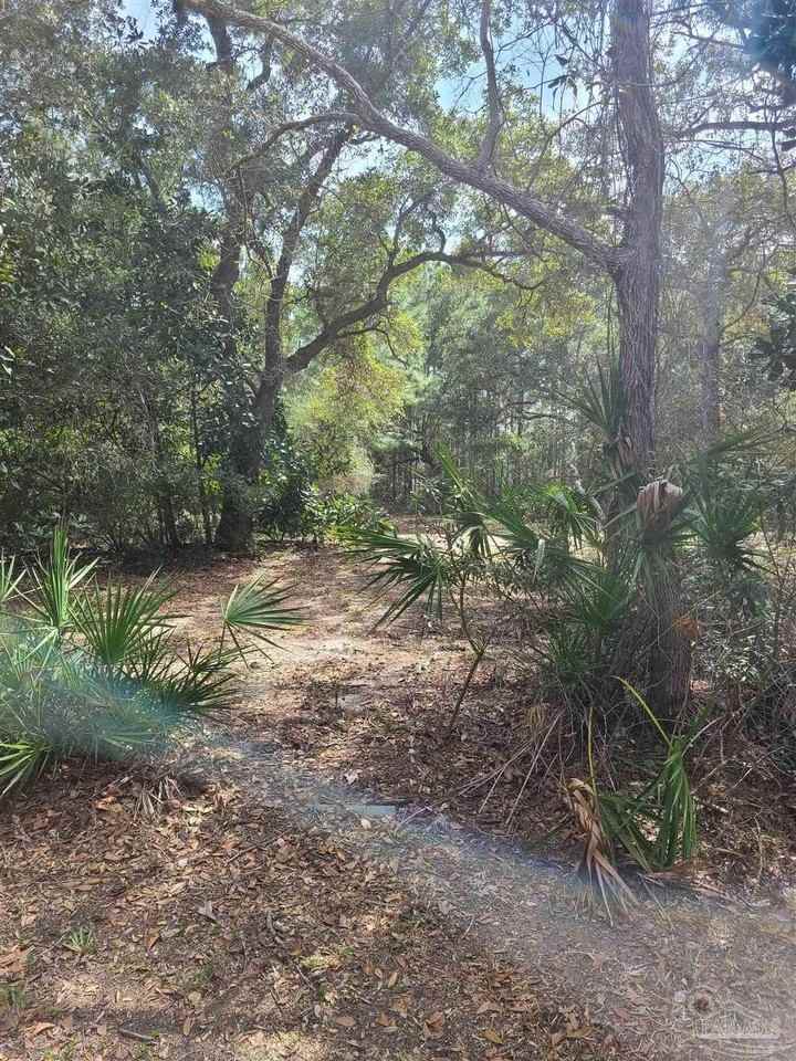 3023 Laurel Dr - Photo 6 of 38