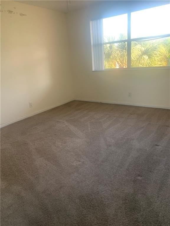 8891 Wiles Rd #308 - Photo 6 of 23