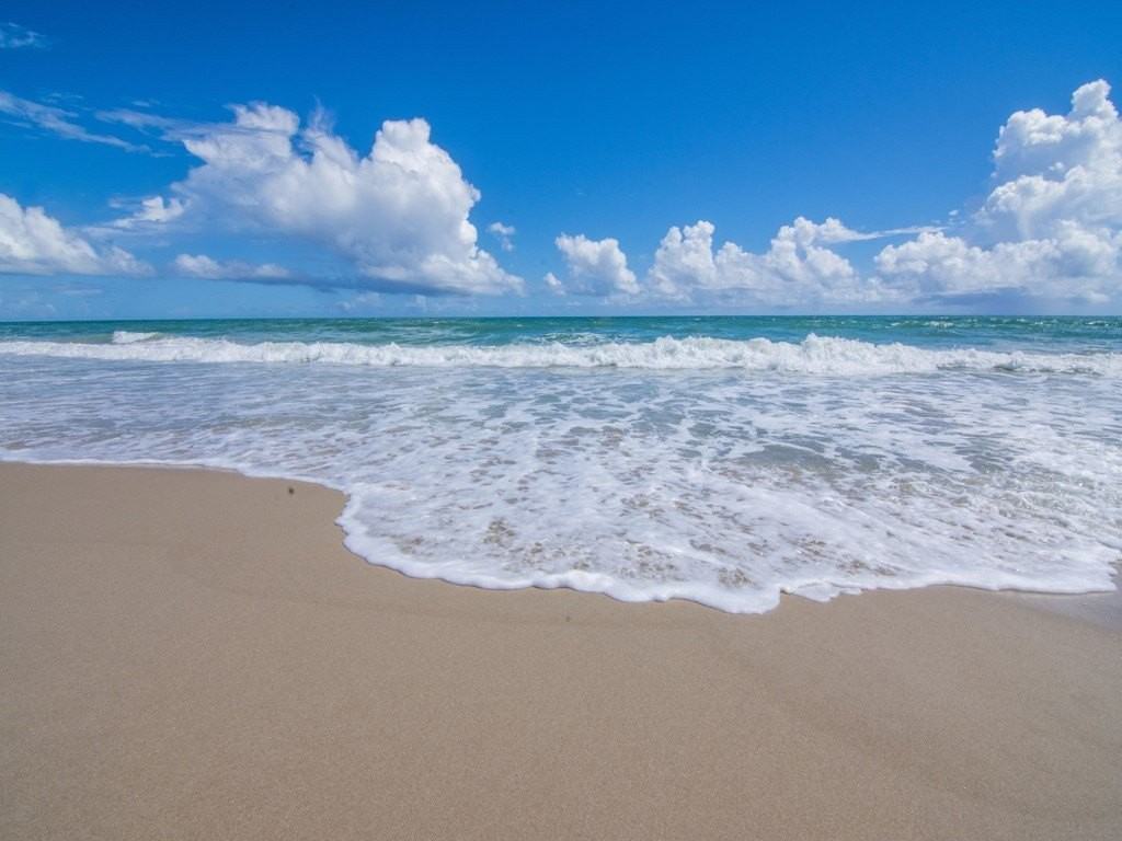 1340 White Heron Ln - Photo 2 of 23