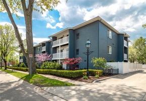 featured image of 662 Purdy St #217