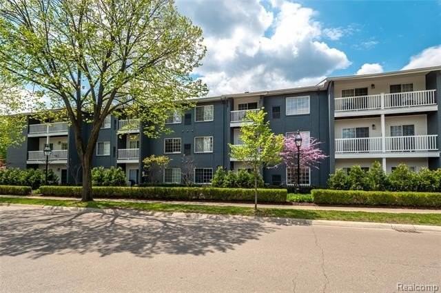 662 Purdy St #217 - Photo 2 of 18