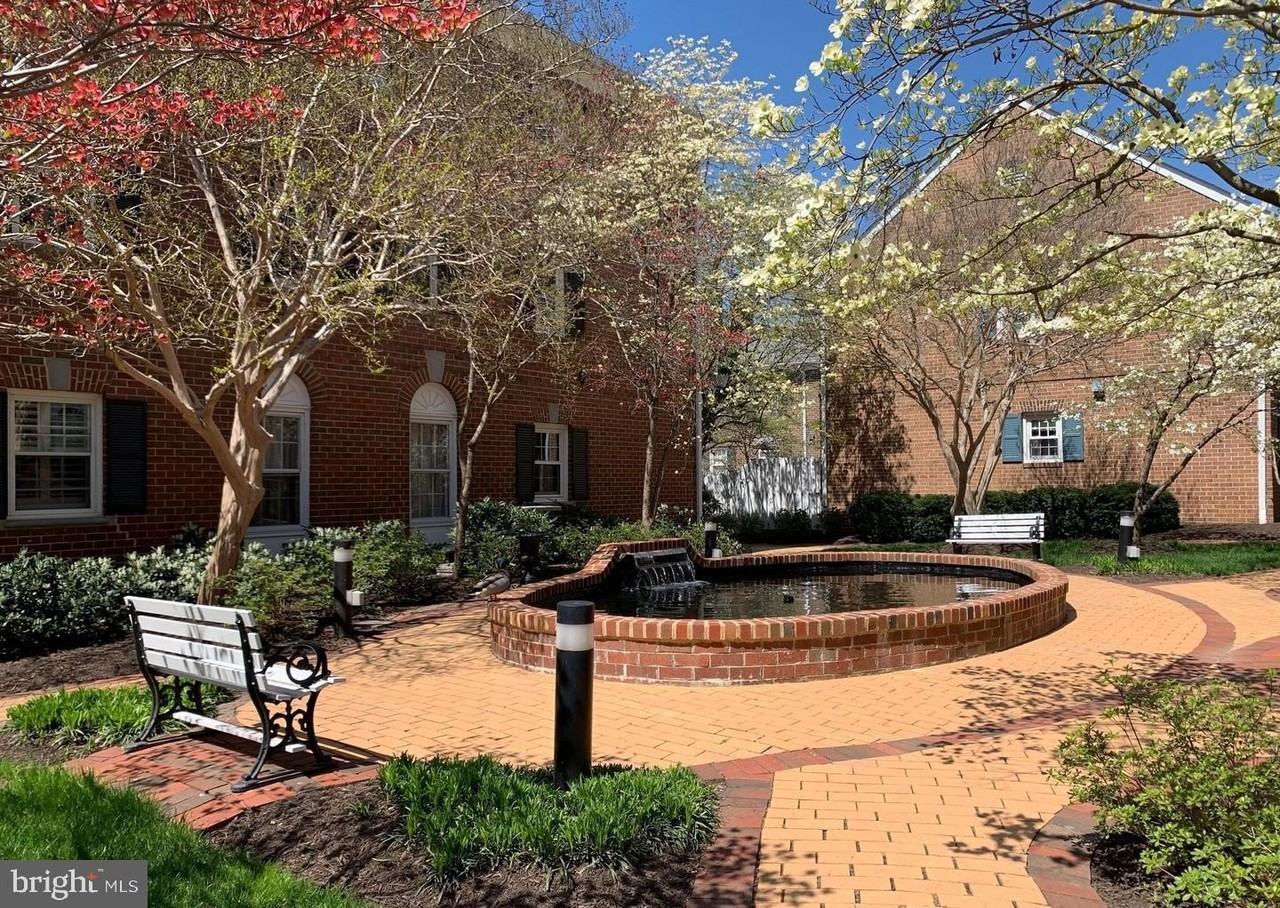 1040 N Royal St - Photo 3 of 19