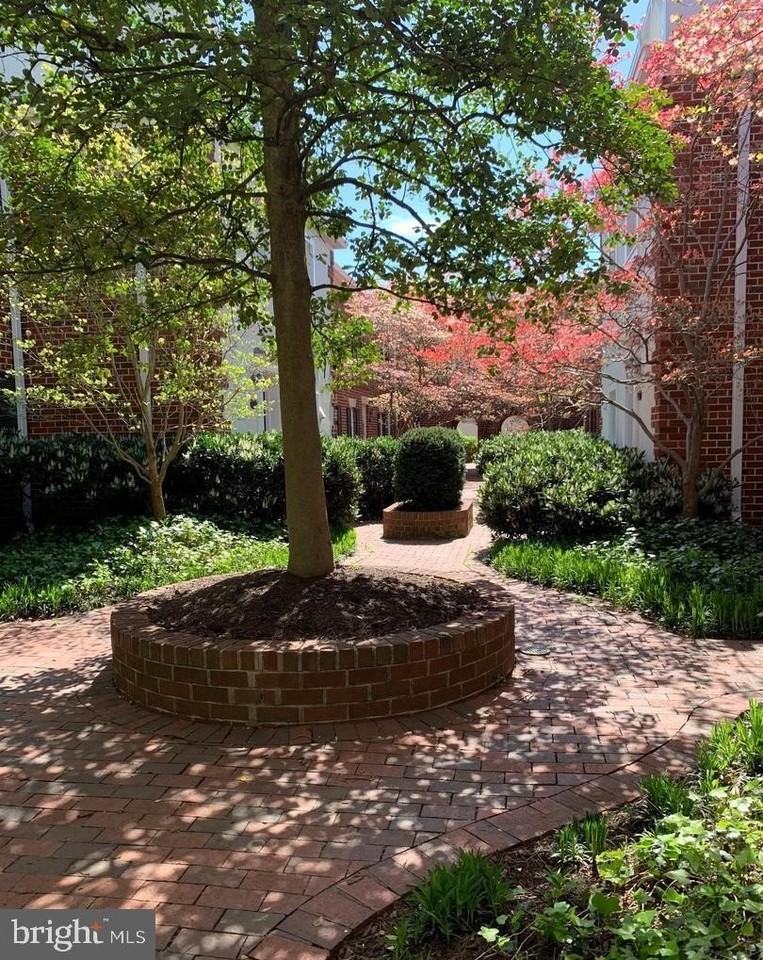 1040 N Royal St - Photo 4 of 19