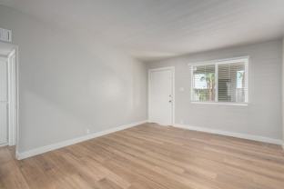 Fiesta Sun - Photo 1 of 1