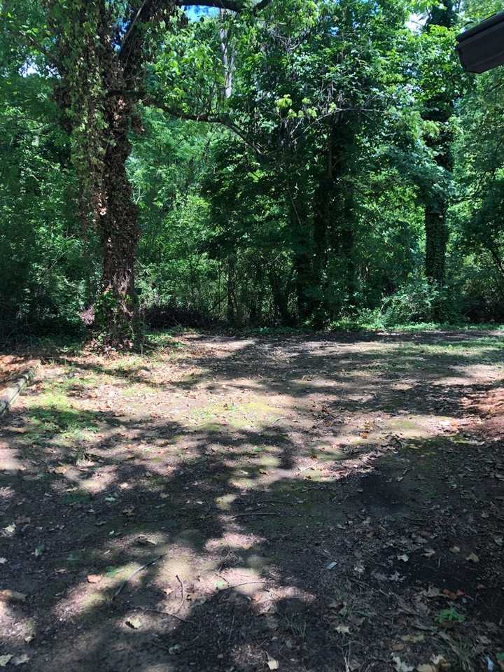 729 Park Ln - Photo 3 of 21